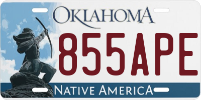 OK license plate 855APE