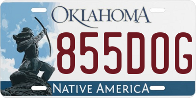 OK license plate 855DOG