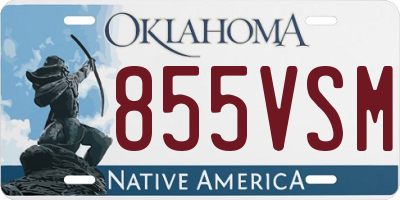 OK license plate 855VSM