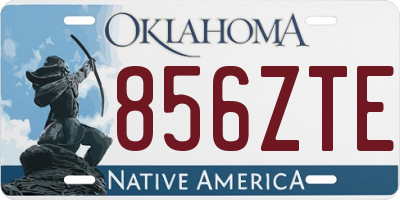 OK license plate 856ZTE