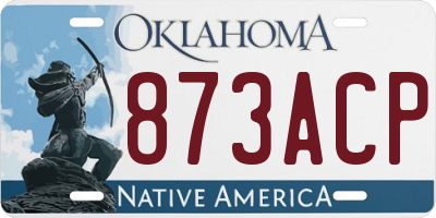 OK license plate 873ACP