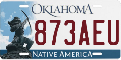 OK license plate 873AEU