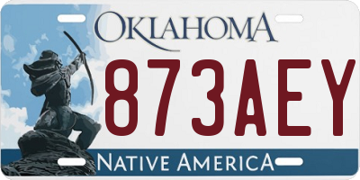 OK license plate 873AEY