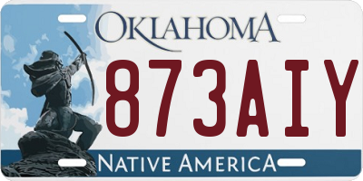 OK license plate 873AIY