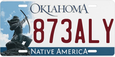 OK license plate 873ALY