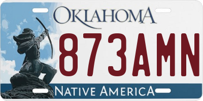 OK license plate 873AMN