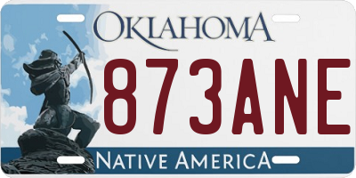 OK license plate 873ANE