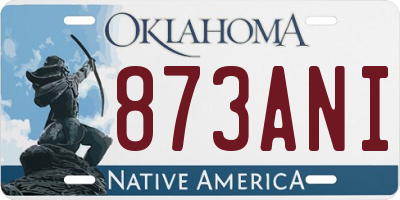 OK license plate 873ANI