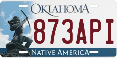 OK license plate 873API