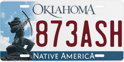 OK license plate 873ASH