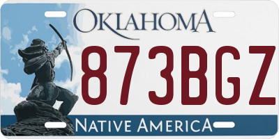 OK license plate 873BGZ