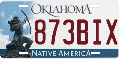 OK license plate 873BIX
