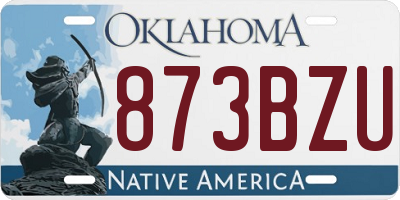 OK license plate 873BZU