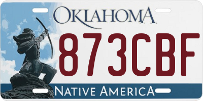OK license plate 873CBF