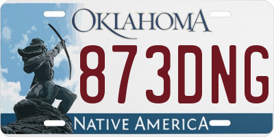OK license plate 873DNG