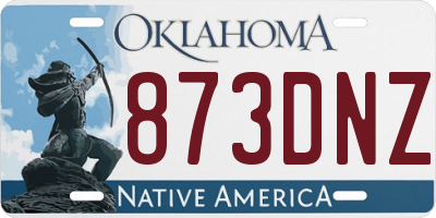OK license plate 873DNZ