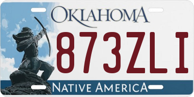 OK license plate 873ZLI
