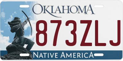 OK license plate 873ZLJ