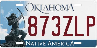 OK license plate 873ZLP