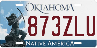 OK license plate 873ZLU