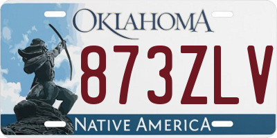 OK license plate 873ZLV