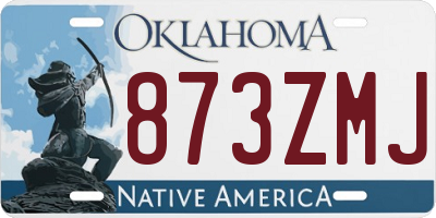 OK license plate 873ZMJ