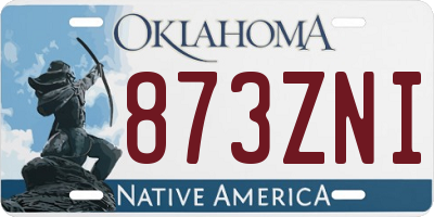 OK license plate 873ZNI