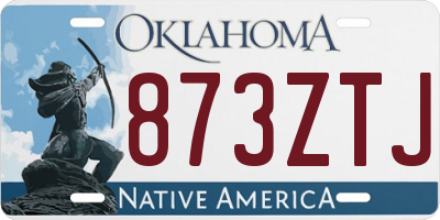 OK license plate 873ZTJ