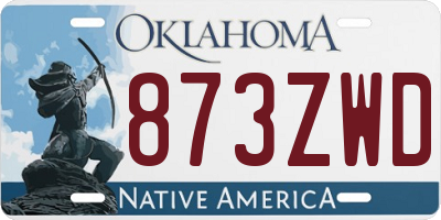 OK license plate 873ZWD