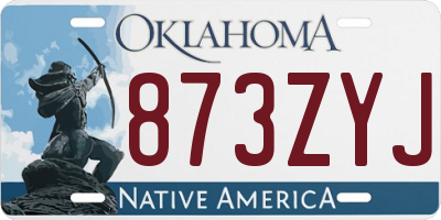 OK license plate 873ZYJ