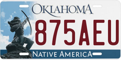 OK license plate 875AEU