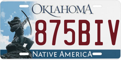 OK license plate 875BIV