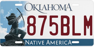 OK license plate 875BLM