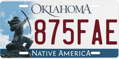 OK license plate 875FAE