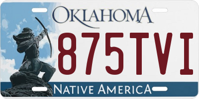 OK license plate 875TVI