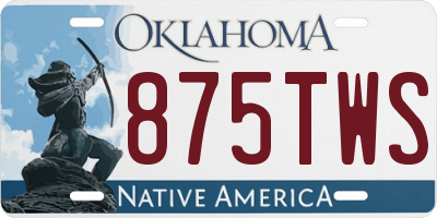 OK license plate 875TWS