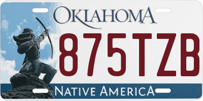 OK license plate 875TZB
