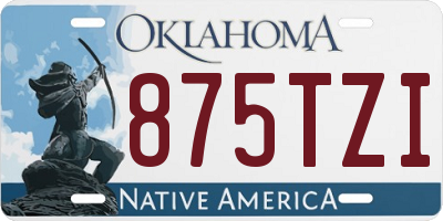 OK license plate 875TZI