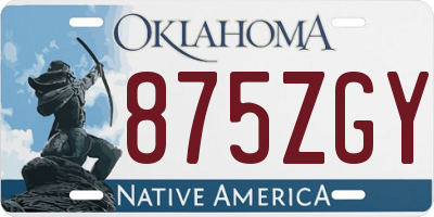 OK license plate 875ZGY
