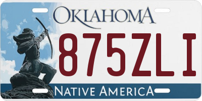 OK license plate 875ZLI