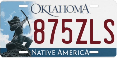 OK license plate 875ZLS