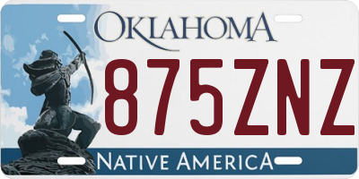 OK license plate 875ZNZ