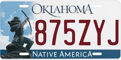 OK license plate 875ZYJ