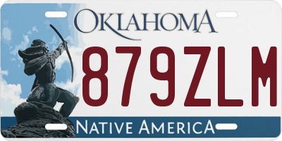 OK license plate 879ZLM