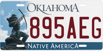 OK license plate 895AEG