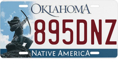 OK license plate 895DNZ