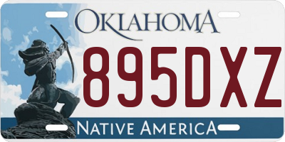 OK license plate 895DXZ