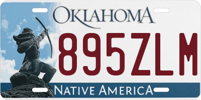 OK license plate 895ZLM