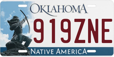 OK license plate 919ZNE