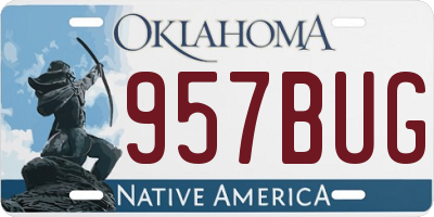 OK license plate 957BUG
